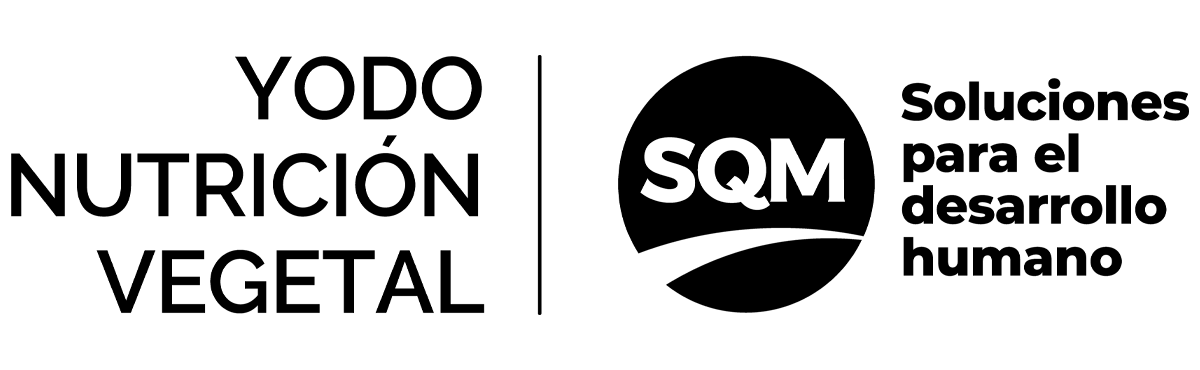 sqm